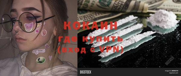сатива Козельск