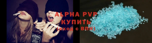 сатива Козельск