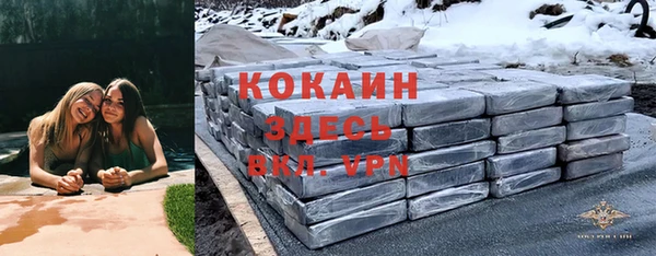 сатива Козельск