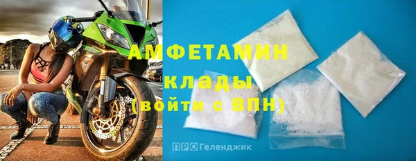 сатива Козельск