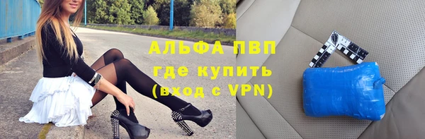 сатива Козельск