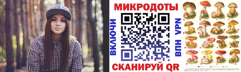 Галлюциногенные грибы Psilocybe  Купить закладки  Губаха 